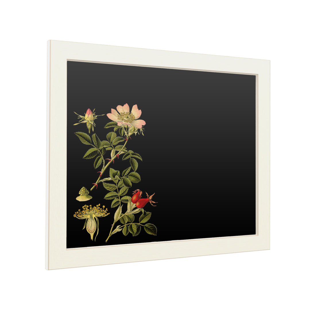 16 x 20 Chalk Board with Printed Artwork - Vision Studio Midnight Botanical I White Board - Ready to Hang Chalkboard Image 2