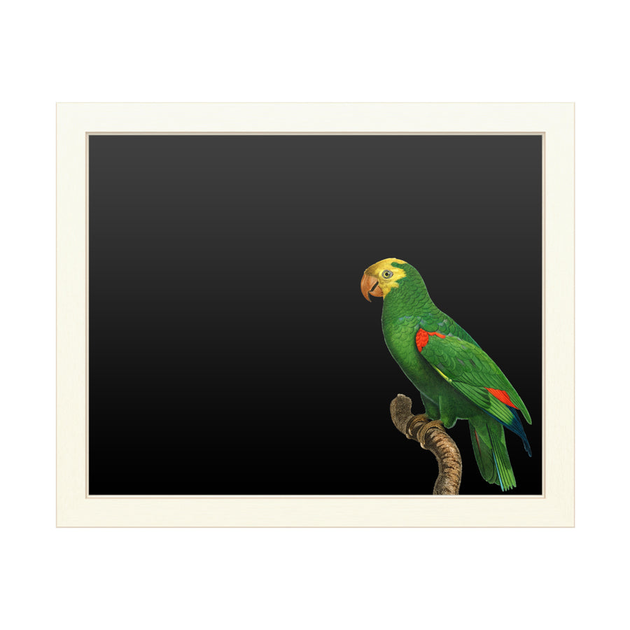 16 x 20 Chalk Board with Printed Artwork - Barraband Parrot Of The Tropics Iii White Board - Ready to Hang Chalkboard Image 1