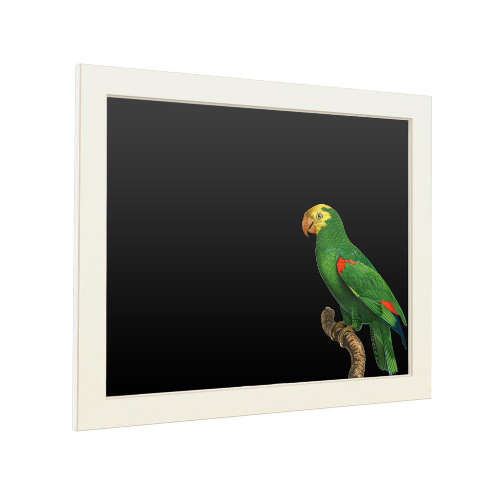 16 x 20 Chalk Board with Printed Artwork - Barraband Parrot Of The Tropics Iii White Board - Ready to Hang Chalkboard Image 2