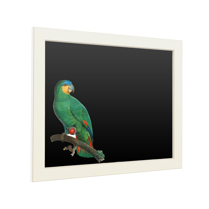 16 x 20 Chalk Board with Printed Artwork - Barraband Parrot Of The Tropics I White Board - Ready to Hang Chalkboard Image 2