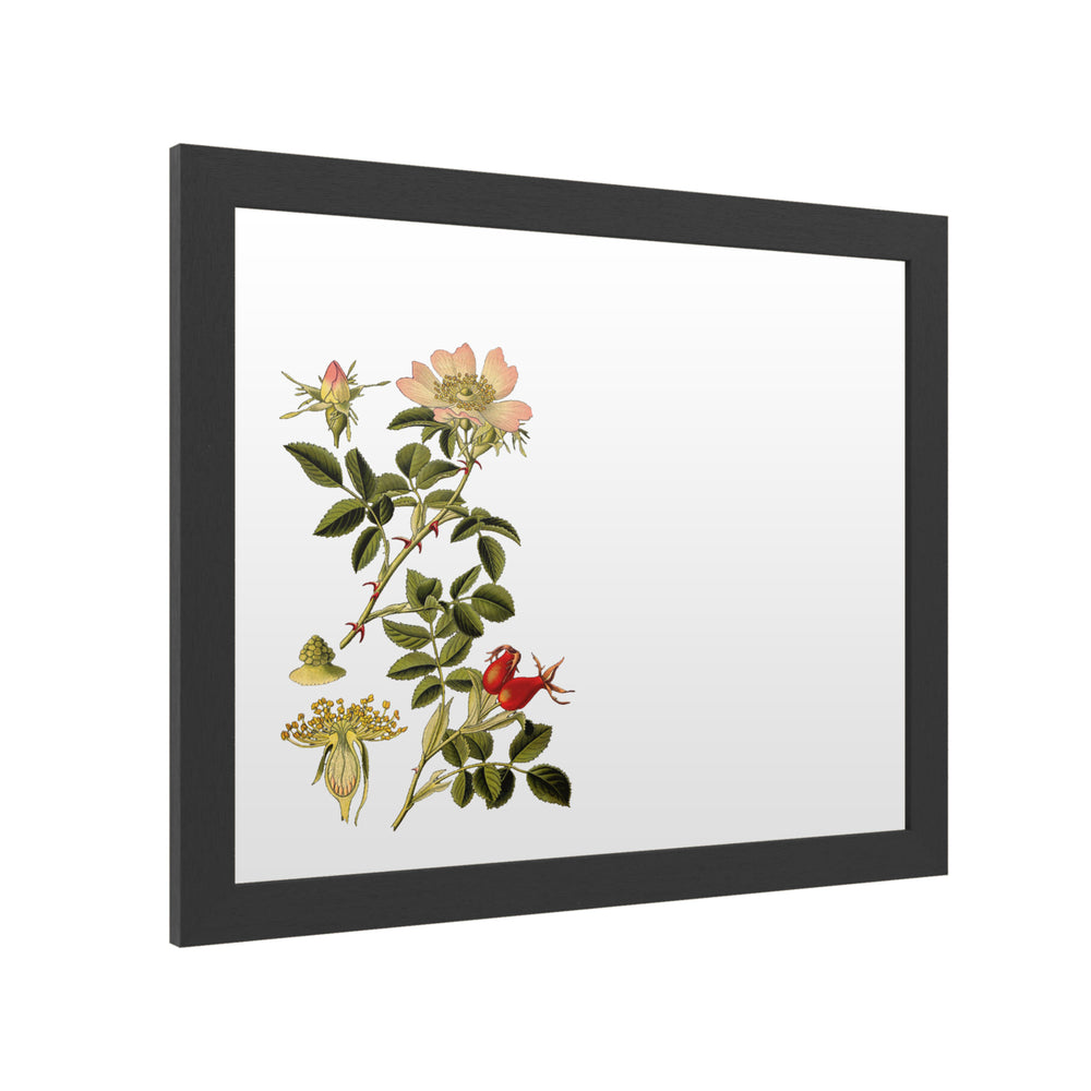 Dry Erase 16 x 20 Marker Board with Printed Artwork - Vision Studio Midnight Botanical I White Board - Ready to Hang Image 2