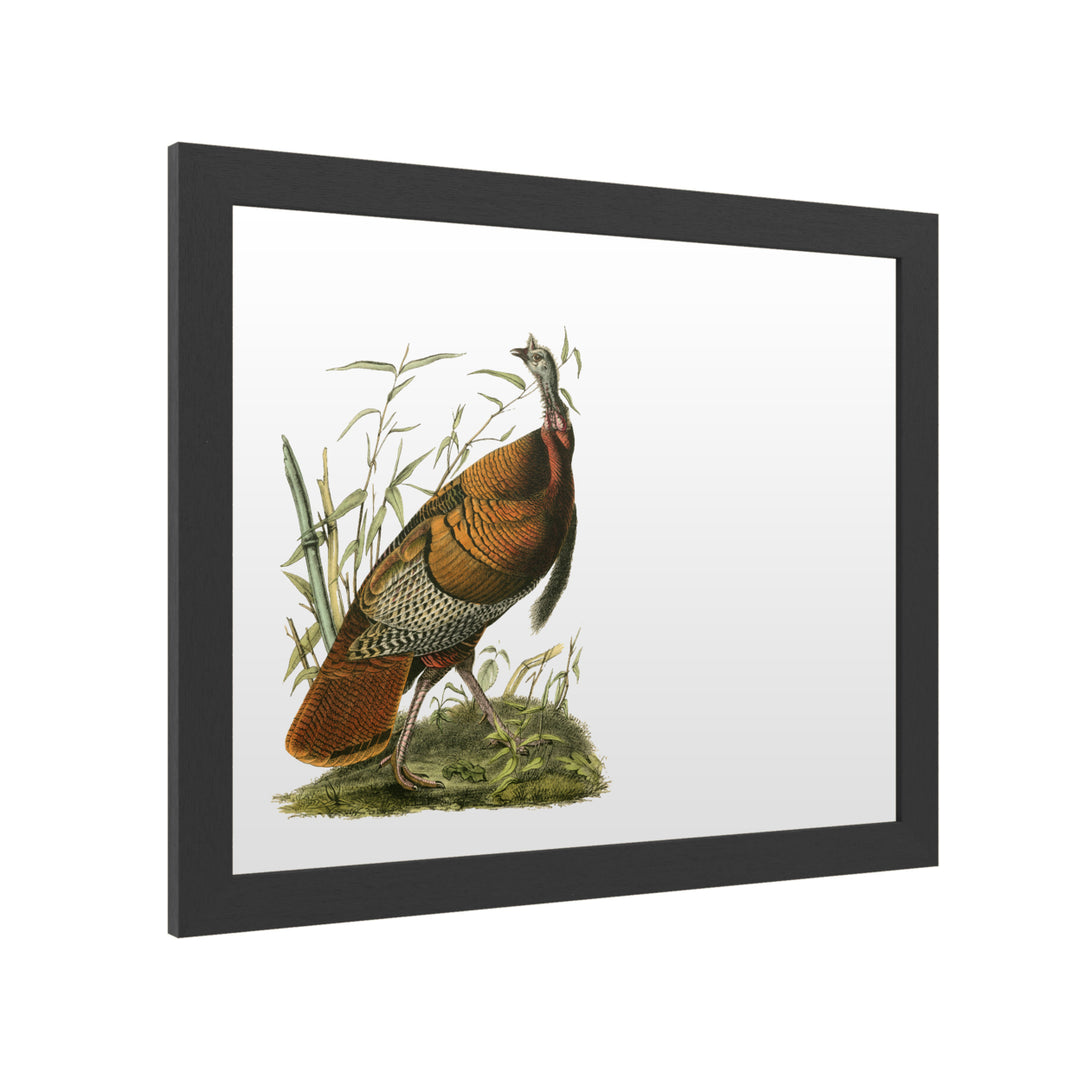 Dry Erase 16 x 20 Marker Board with Printed Artwork - John James Audubon Audubon Wild Turkey White Board - Ready to Hang Image 2