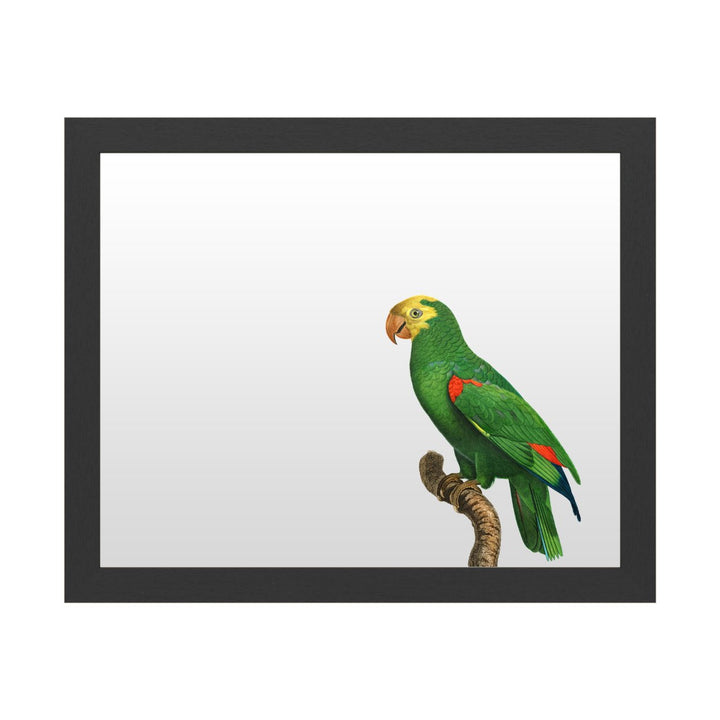 Dry Erase 16 x 20 Marker Board with Printed Artwork - Barraband Parrot Of The Tropics Iii White Board - Ready to Hang Image 1