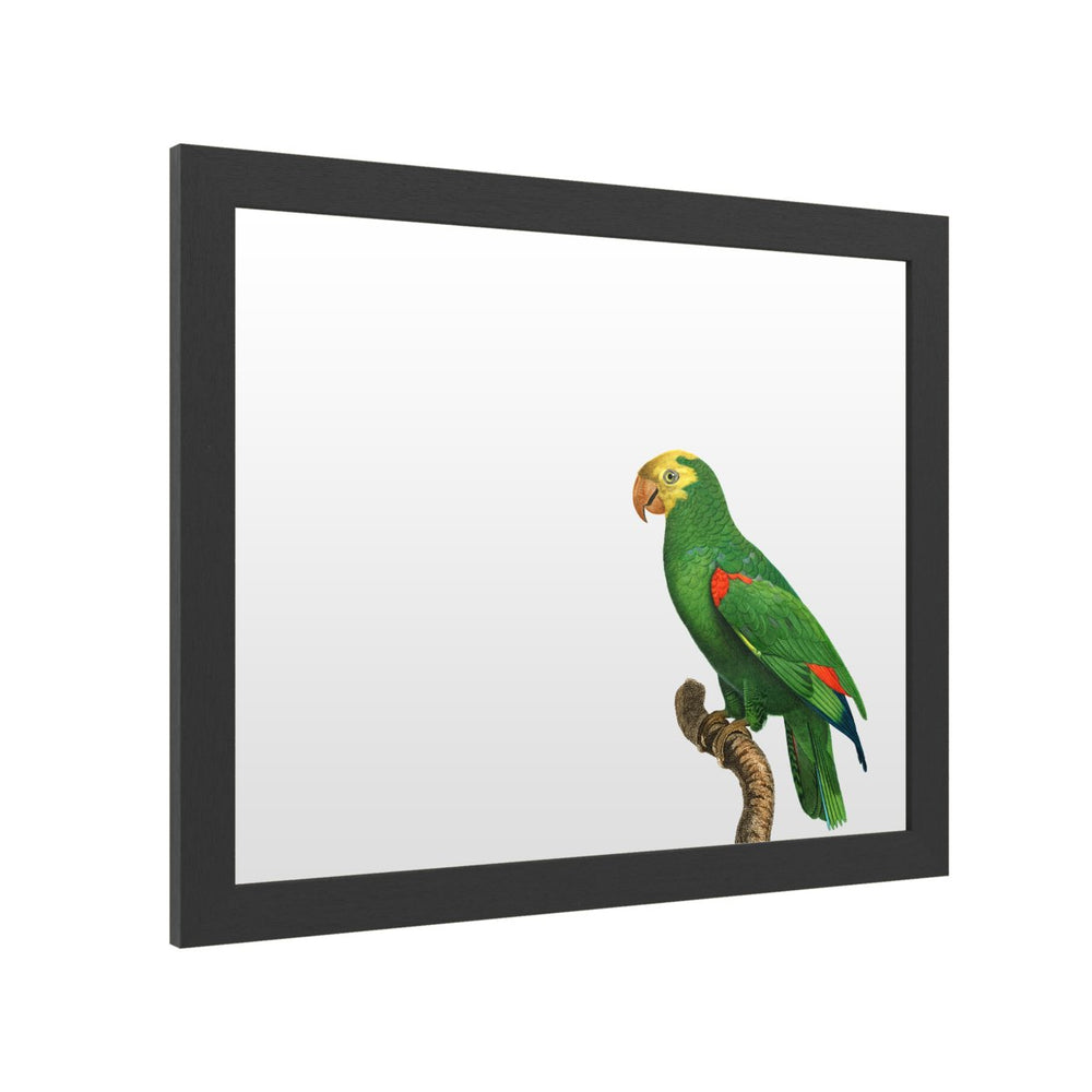 Dry Erase 16 x 20 Marker Board with Printed Artwork - Barraband Parrot Of The Tropics Iii White Board - Ready to Hang Image 2