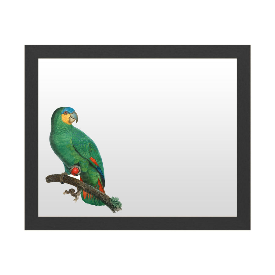 Dry Erase 16 x 20 Marker Board  with Printed Artwork - Barraband Parrot Of The Tropics I White Board - Ready to Hang Image 1