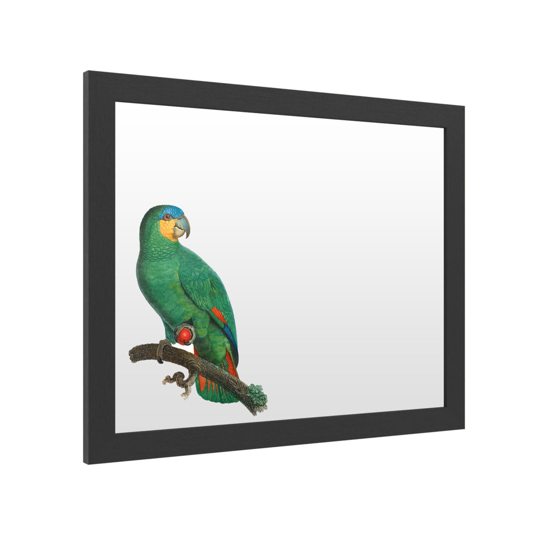 Dry Erase 16 x 20 Marker Board with Printed Artwork - Barraband Parrot Of The Tropics I White Board - Ready to Hang Image 2