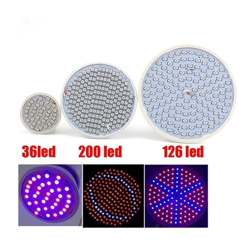 Full spectrum Plant Grow Led Light Bulbs Lamp lighting for Seeds hydro Flower Greenhouse Veg Indoor garden E27 phyto Image 9