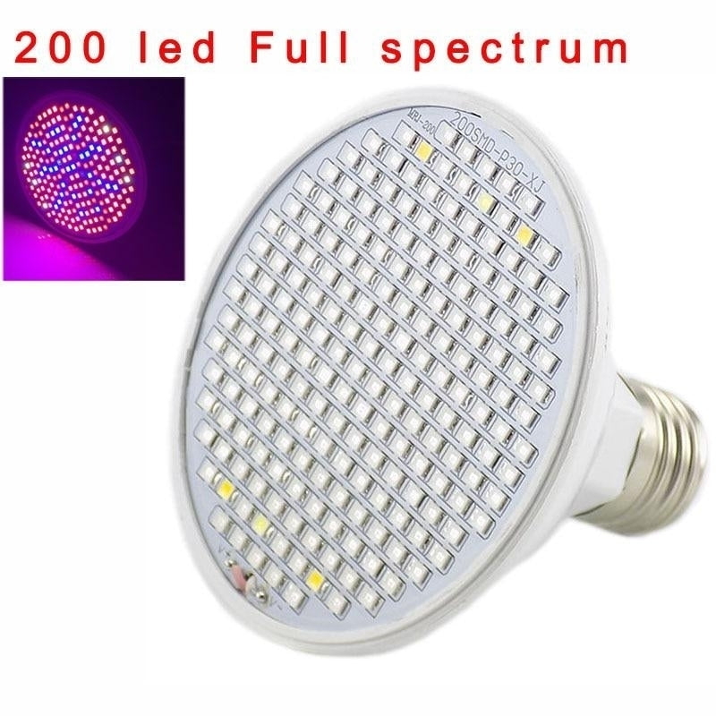 Full spectrum Plant Grow Led Light Bulbs Lamp lighting for Seeds hydro Flower Greenhouse Veg Indoor garden E27 phyto Image 10