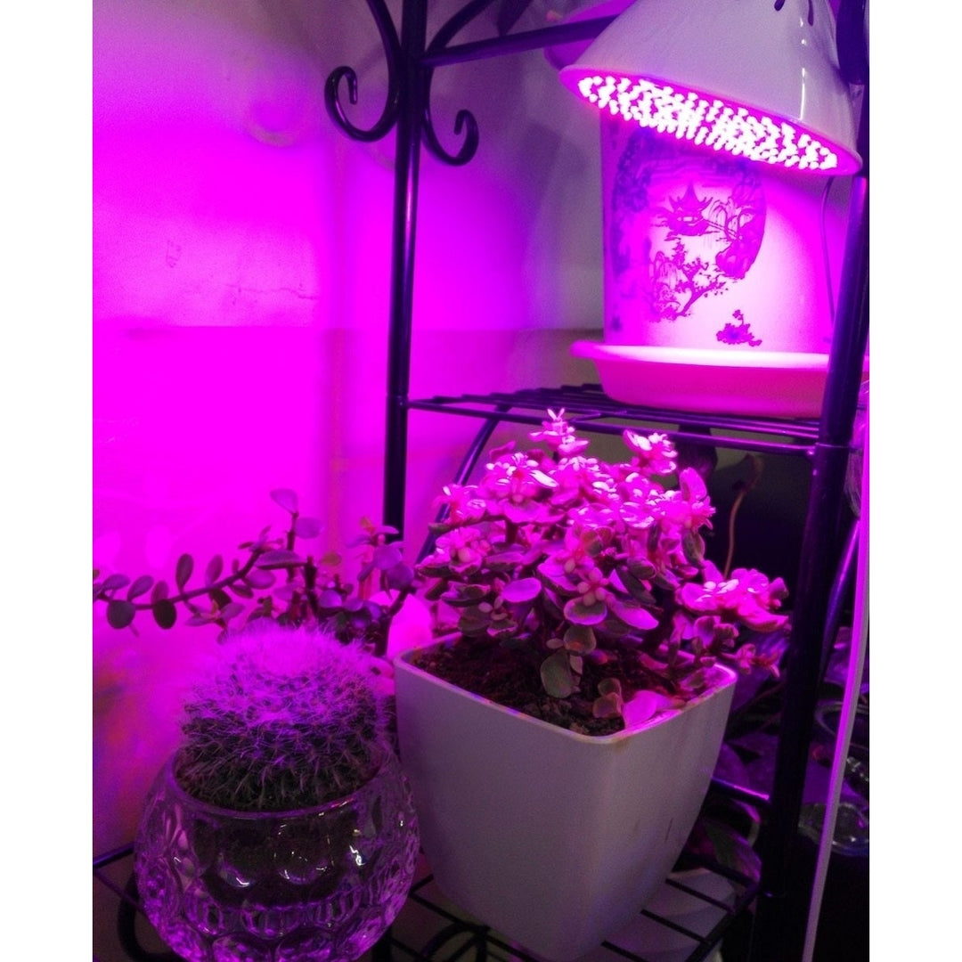 Full spectrum Plant Grow Led Light Bulbs Lamp lighting for Seeds hydro Flower Greenhouse Veg Indoor garden E27 phyto Image 11