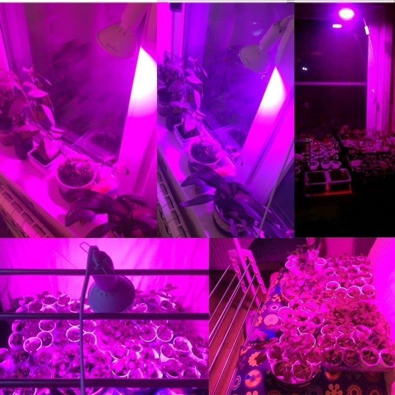 Full spectrum Plant Grow Led Light Bulbs Lamp lighting for Seeds hydro Flower Greenhouse Veg Indoor garden E27 phyto Image 12