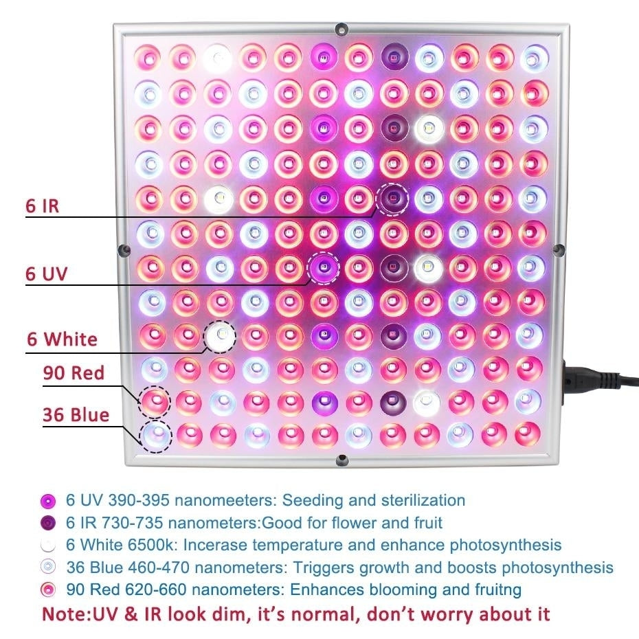 Growing Lamps LED Grow Light Full Spectrum Plant Lighting Fitolampy For Plants Flowers Seedling Cultivation Image 2