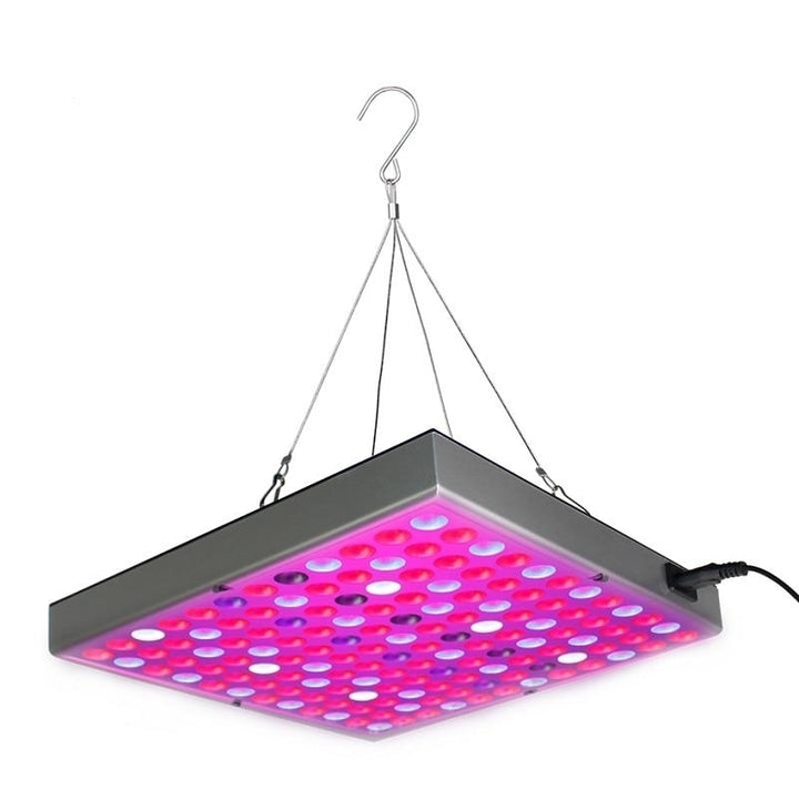 Growing Lamps LED Grow Light Full Spectrum Plant Lighting Fitolampy For Plants Flowers Seedling Cultivation Image 7