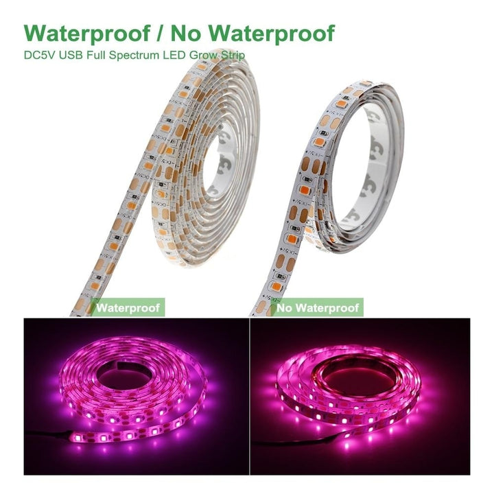 LED Grow Light Full Spectrum USB Strip Lights Chip Phyto Lamps For Greenhouse Hydroponic Plant Growing Image 3