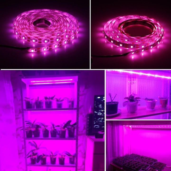 LED Grow Light Full Spectrum USB Strip Lights Chip Phyto Lamps For Greenhouse Hydroponic Plant Growing Image 4