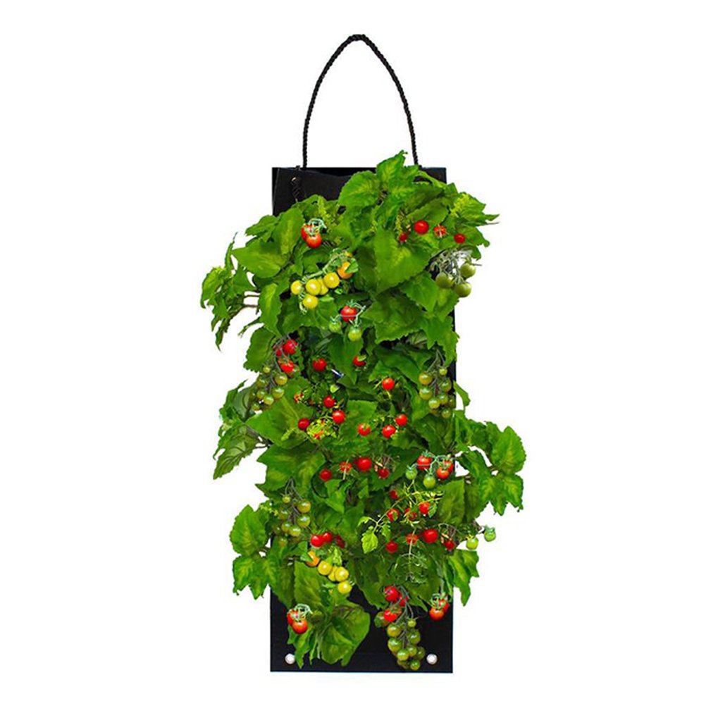 Organic Hanging Vegetable Garden Seed Kit with Soil Block 4 Options Non-GMO Image 5