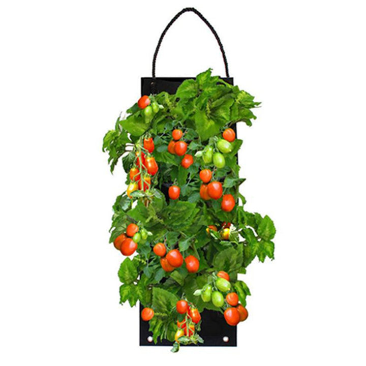 Organic Hanging Vegetable Garden Seed Kit with Soil Block 4 Options Non-GMO Image 9