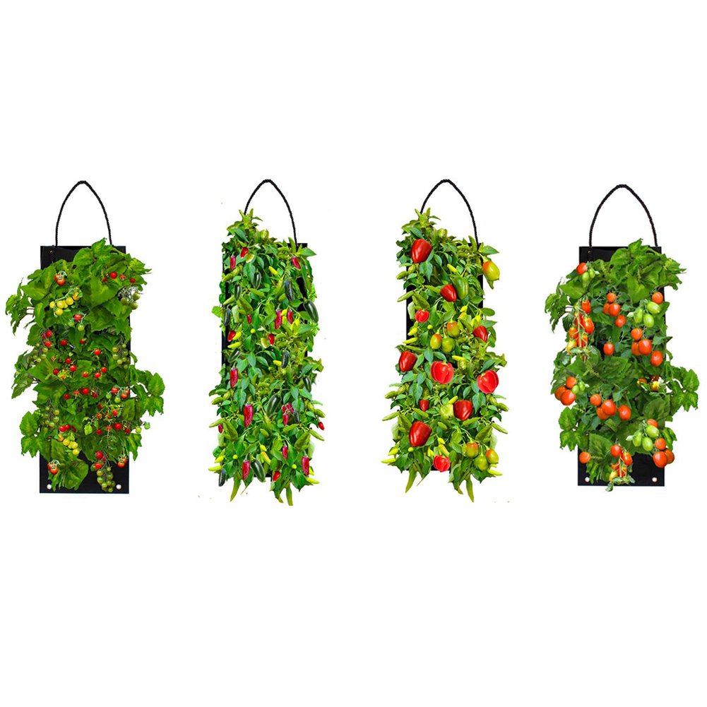 Organic Hanging Vegetable Garden Seed Kit with Soil Block 4 Options Non-GMO Image 1