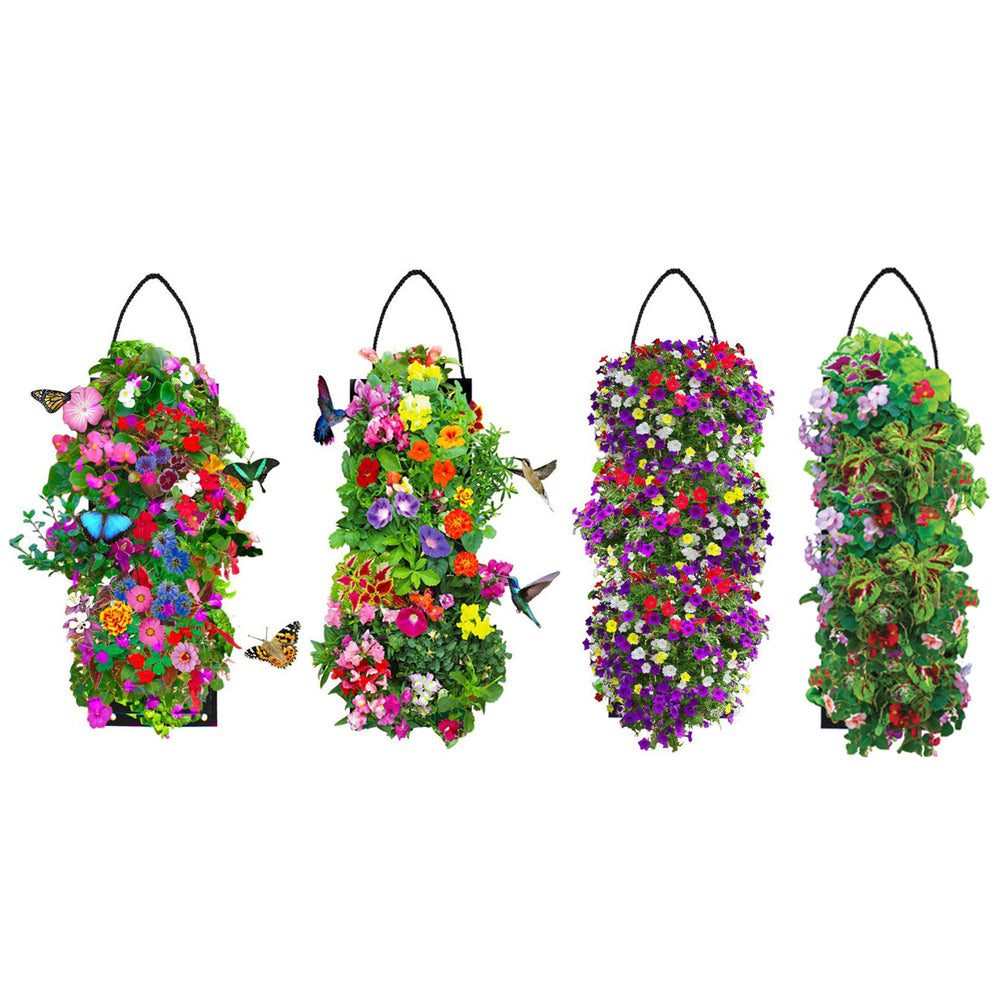 Hanging Flower Garden Seed Kit With Soil Block - 4 Options Image 2