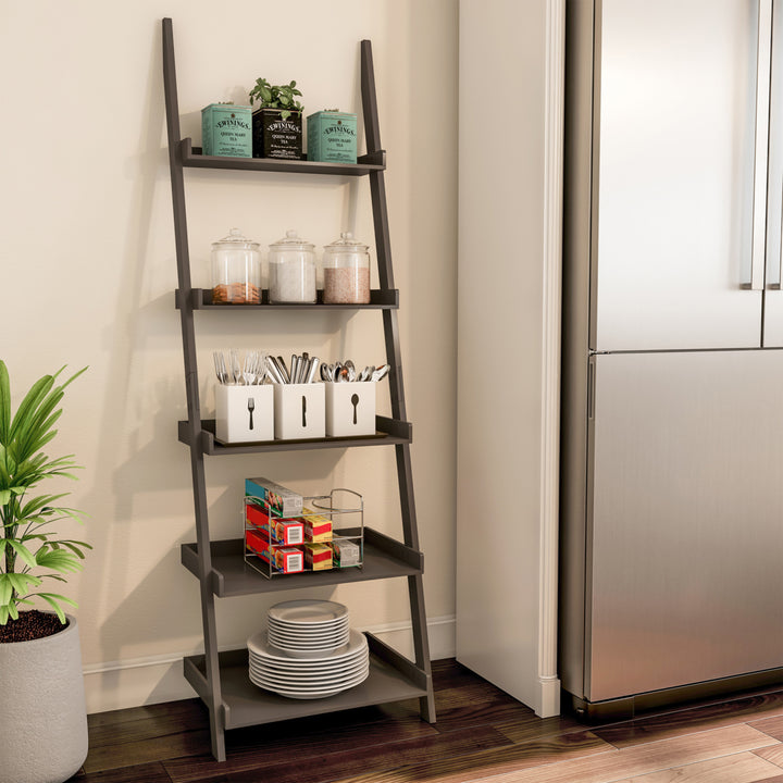 Ladder Bookshelf 5 Tier Leaning Decorative Shelves for Display-Slate Gray Shelf Stand-Living Room, Bathroom and Kitchen Image 1