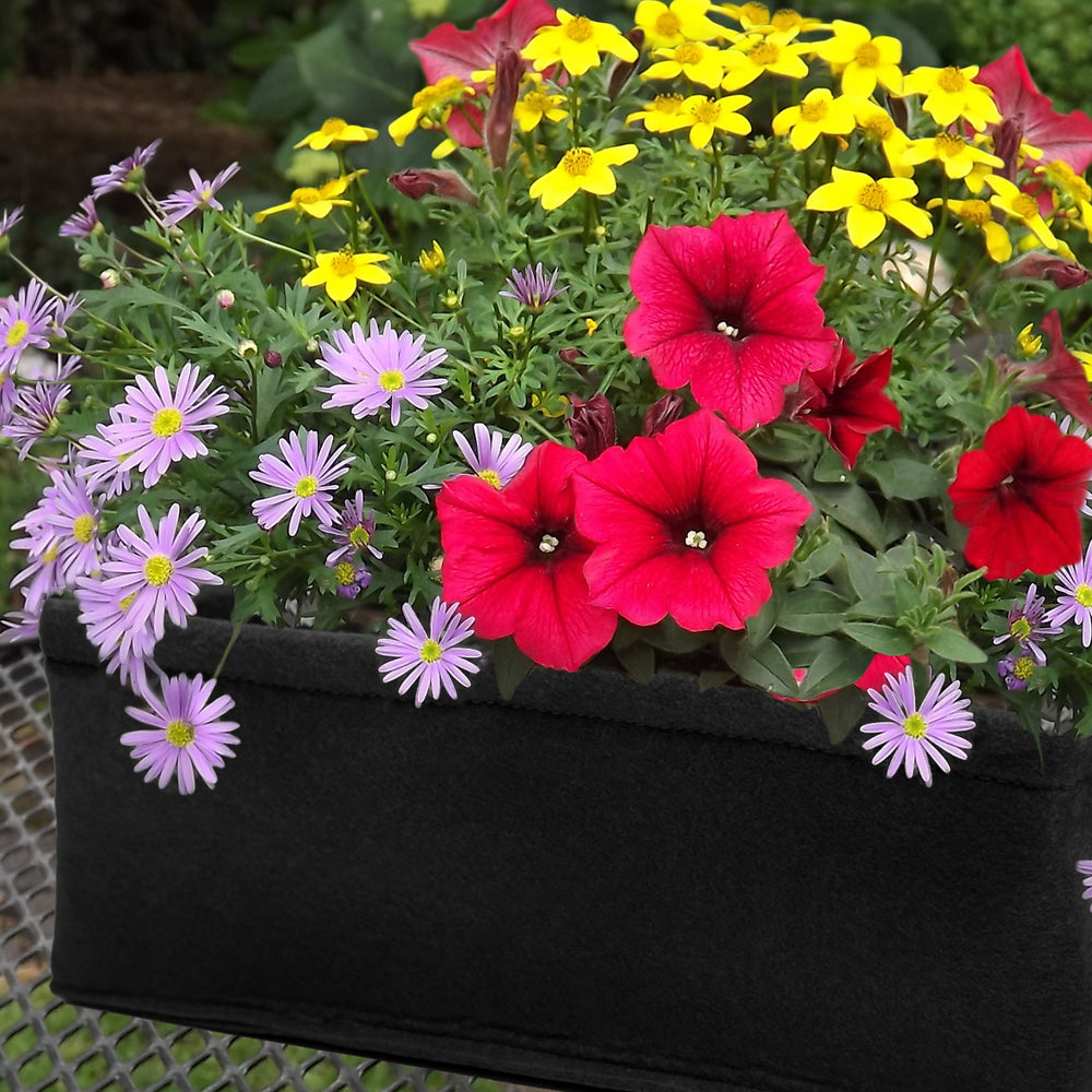 Flower Seed Planter Box Kits With Soil Block - Butterfly, Hummingbird, Shady Annual or Mixed Petunia Image 2