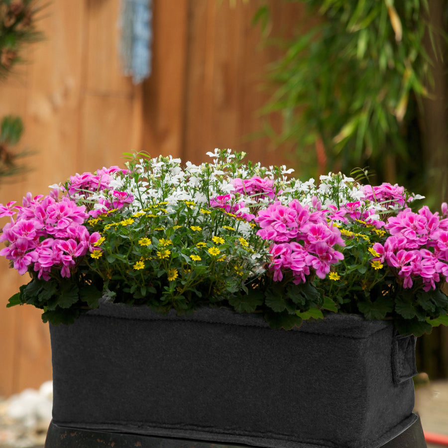 Flower Seed Planter Box Kits With Soil Block - Butterfly, Hummingbird, Shady Annual or Mixed Petunia Image 1