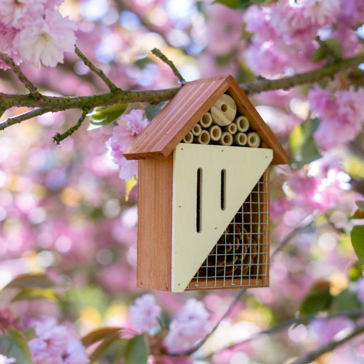 Pollinating Palace Wooden Insect Hotel for Bees Butterflies Ladybugs Eco-Friendly Image 6