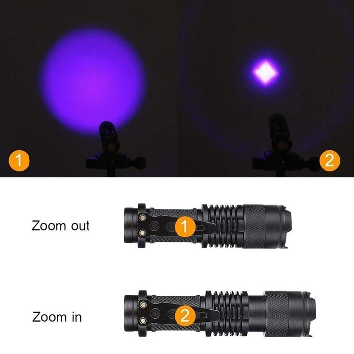 Mini Zoomable 3 Modes Scorpion 395nm UV LED Flashlight Ultraviolet Torch Image 3