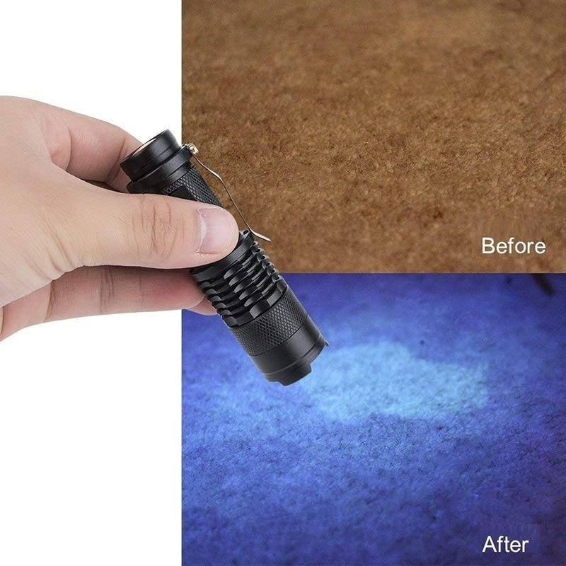 Mini Zoomable 3 Modes Scorpion 395nm UV LED Flashlight Ultraviolet Torch Image 4