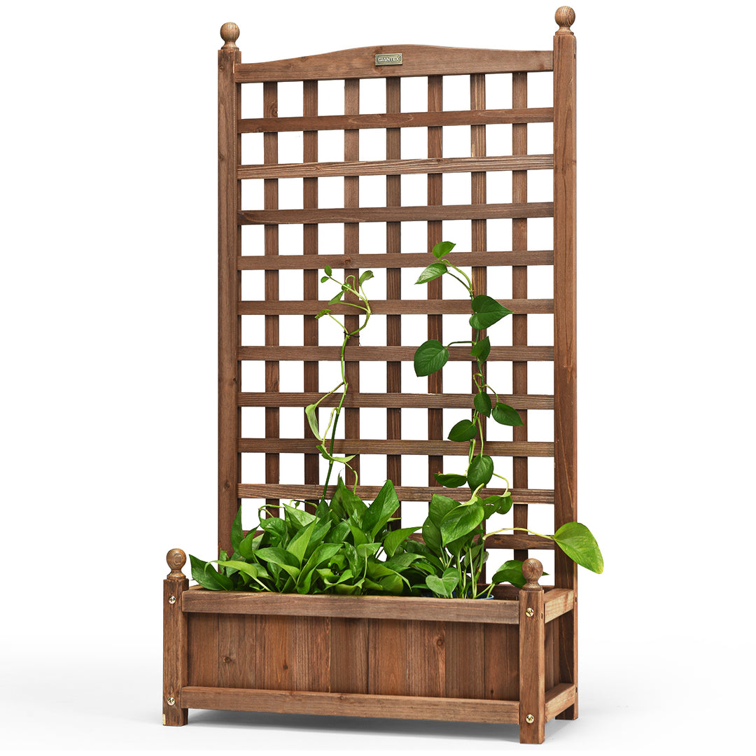 Solid Wood Planter Box with Trellis Weather-Resistant Outdoor 25x11x48 Image 10