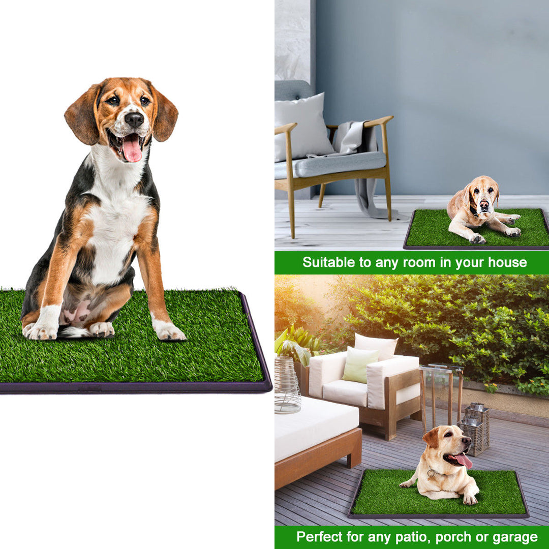 30x20 Puppy Pet Potty Training Pee Indoor Toilet Dog Grass Pad Mat Turf Patch Image 6