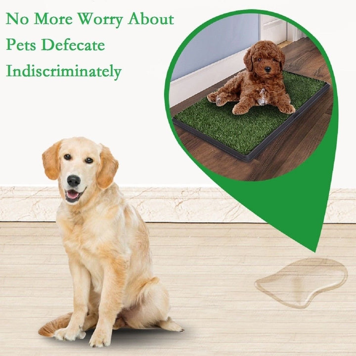 30x20 Puppy Pet Potty Training Pee Indoor Toilet Dog Grass Pad Mat Turf Patch Image 7