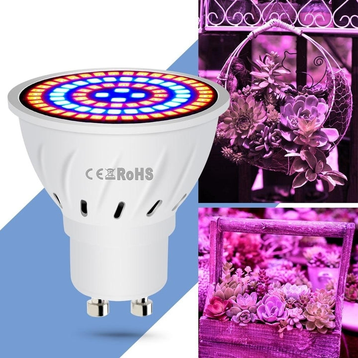 Hydroponic Growth Light Grow Bulb Full Spectrum UV Lamp Plant,Flower Seedling Fito lamp Image 5