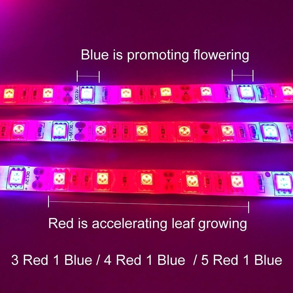 Plant Grow lights 5m Waterproof Full Spectrum LED Strip Flower phyto lamp Red blue 4:1 for Greenhouse Hydroponic Image 6