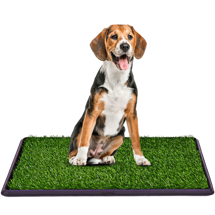 30x20 Puppy Pet Potty Training Pee Indoor Toilet Dog Grass Pad Mat Turf Patch Image 1