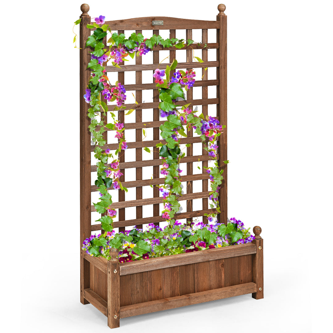 Solid Wood Planter Box with Trellis Weather-Resistant Outdoor 25x11x48 Image 1