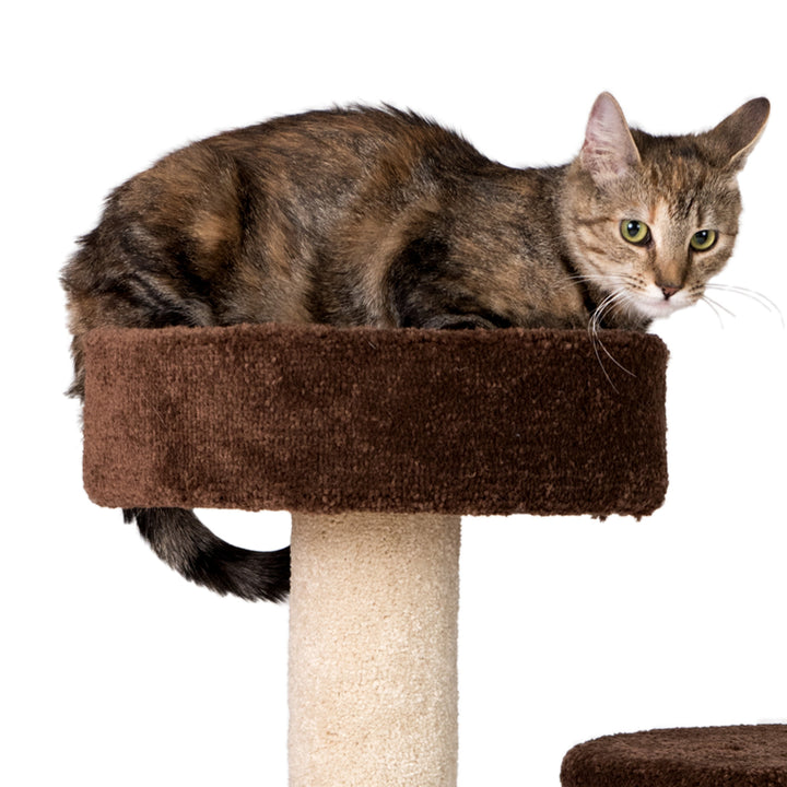 Armarkat Carpeted Cat Tree, Real Wood Cat Activity Center F3005 Image 5