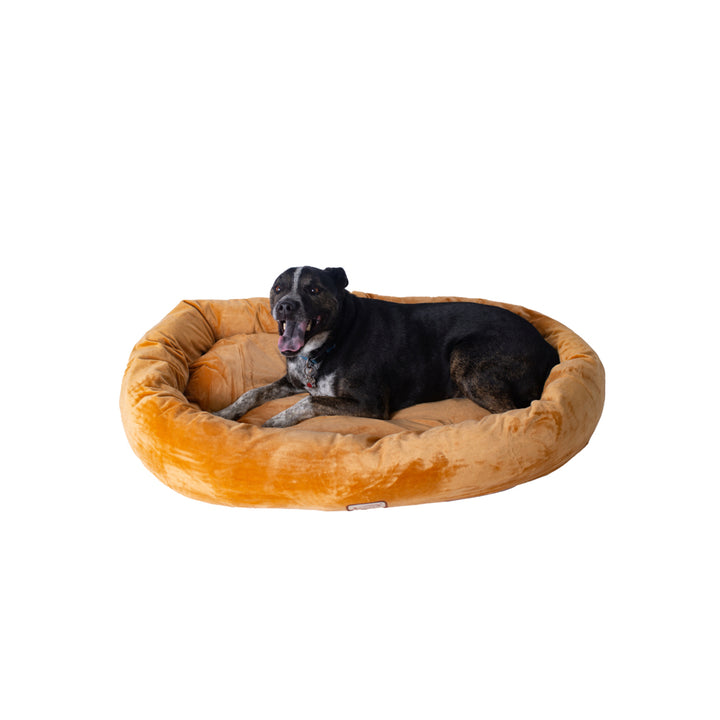 Armarkat D02CZS-L Large Earth Brown Dog Bed Waterproof Velvet Skid-Free Base Image 3