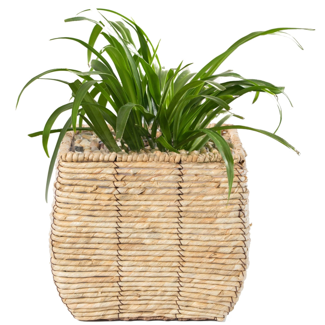 Woven Square Flower Pot Planter with Leak-Proof Plastic Lining Image 9