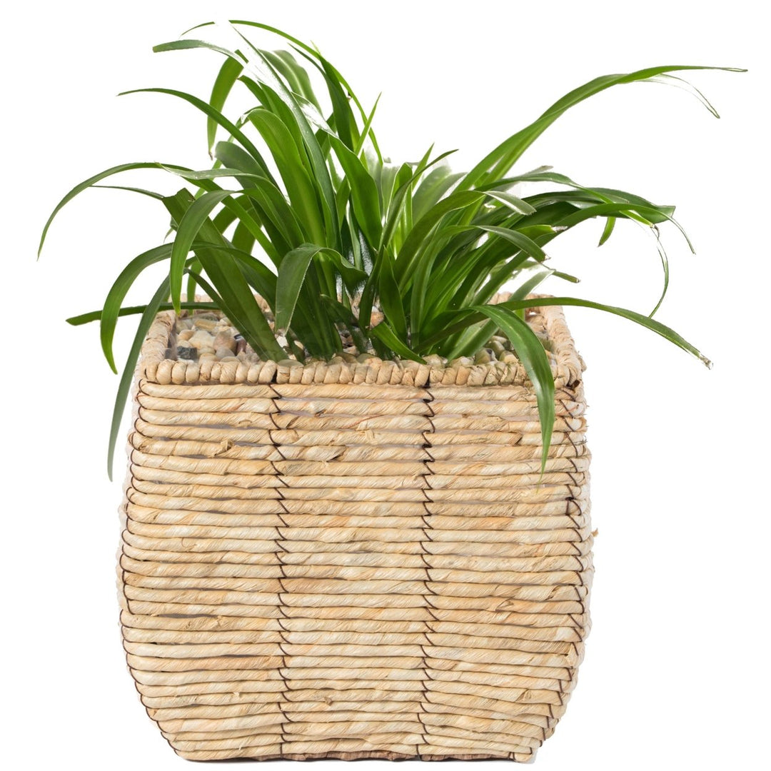 Woven Square Flower Pot Planter with Leak-Proof Plastic Lining Image 1