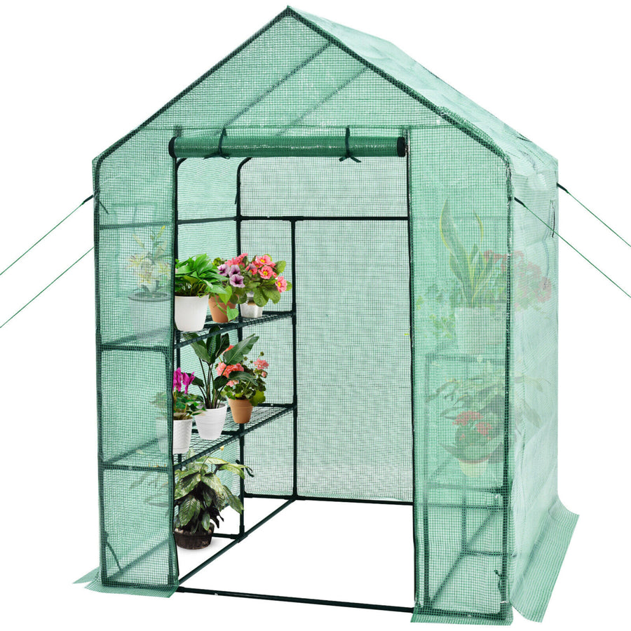 Walk-in Greenhouse 56x56x77 Gardening w/Observation Windows 2 Tier 8 Shelves Image 1