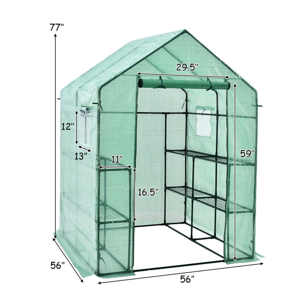 Walk-in Greenhouse 56x56x77 Gardening w/Observation Windows 2 Tier 8 Shelves Image 2