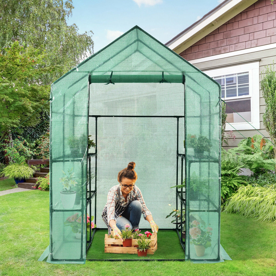 Walk-in Greenhouse 56x56x77 Gardening w/Observation Windows 2 Tier 8 Shelves Image 3