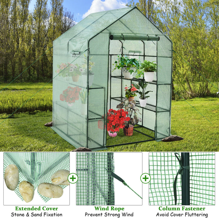 Walk-in Greenhouse 56x56x77 Gardening w/Observation Windows 2 Tier 8 Shelves Image 6