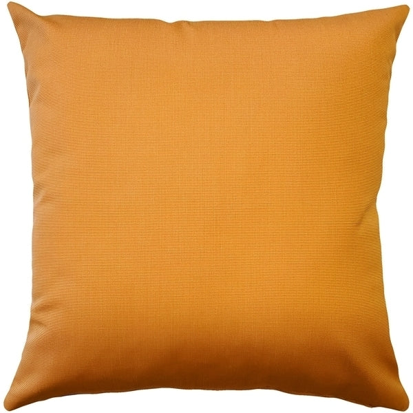 Pillow Decor Sunbrella Tangello Orange 20x20 Outdoor Pillow with Insert Image 1