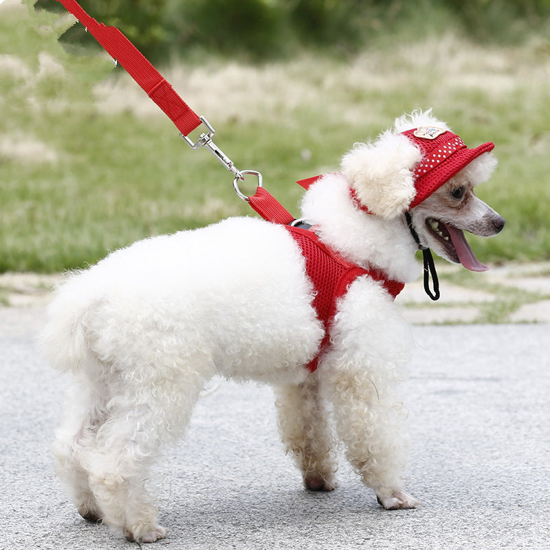 Pet Supplies Cat And Dog Sun Hat Image 3