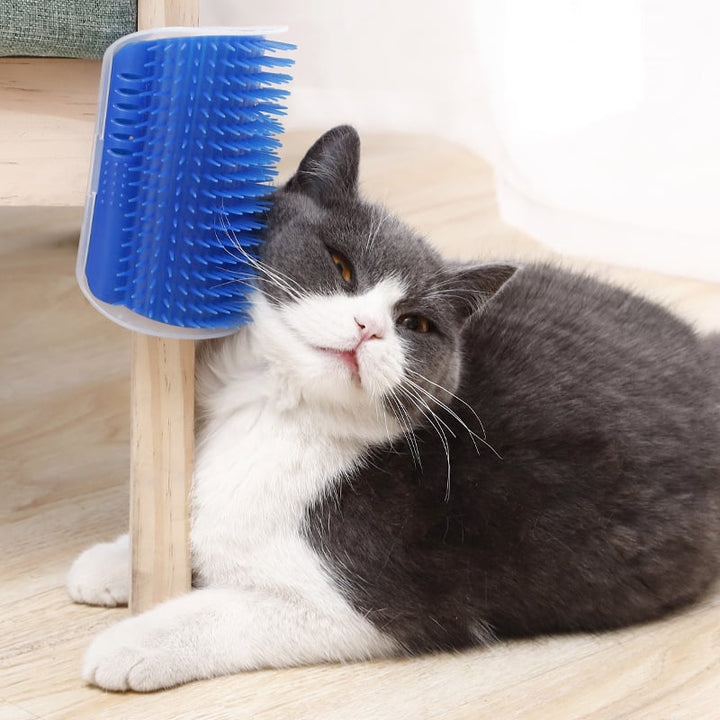 Cat Corner Rubbing Device Massage Brush Image 3