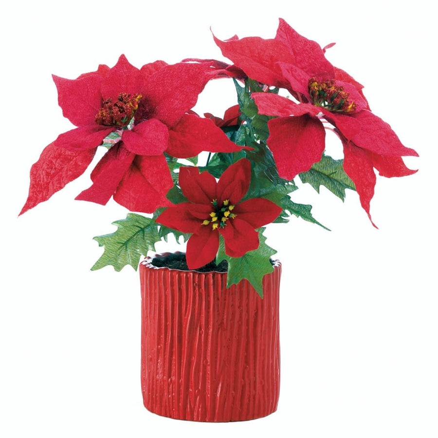 EVERLASTING POINSETTIA PLANT Image 1