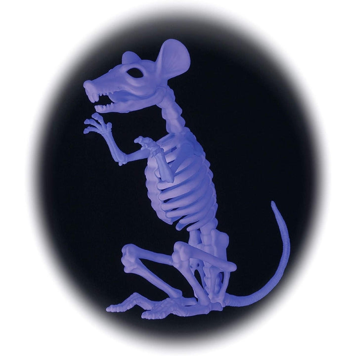 Crazy Bonez Ghostly Skeleton Rat Black Light Responsive 11.5" Halloween Prop Seasons W81325 Image 5