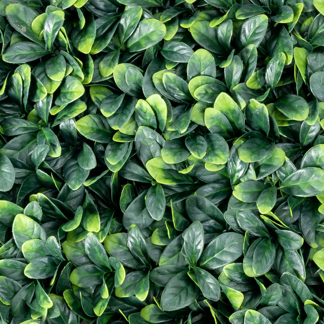 12PCS 20x20inch Artificial Ficus Hedge Plant Privacy Fence Hedge Panels Image 1