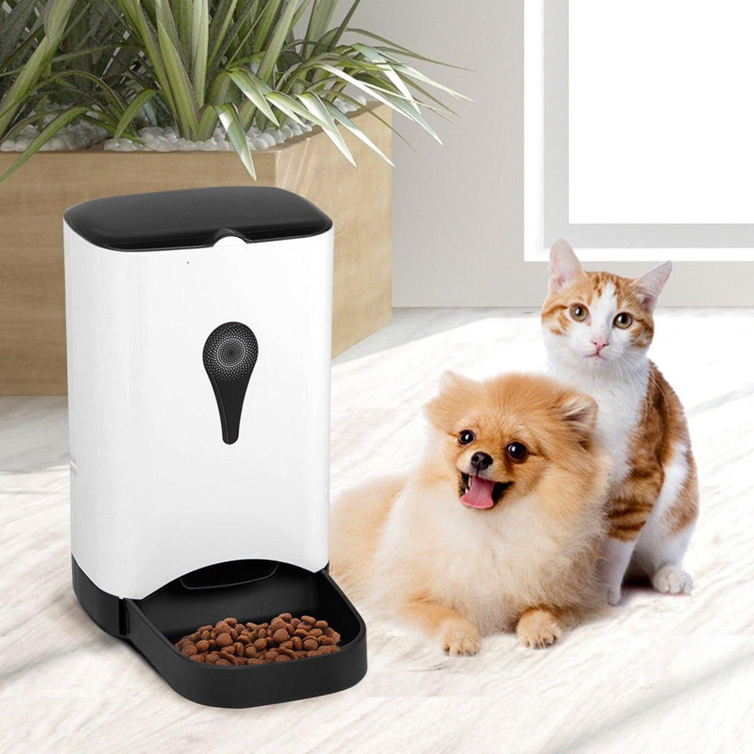 Automatic Pet Feeder for Dog Cat Food Dispenser Voice Recorder Timer Programable Image 1